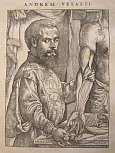 Andreas Vesalius Epitome and Fabrica