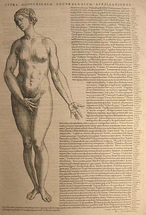 Vesalius Epitome female nude